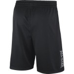 2018 NBA All Star Homme Shorts Noir Jordan Swingman